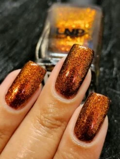 Autumn -HOLO Nails Shop Autumn 2 rachels nail gallery scaled 1