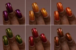 Harvest Collection -HOLO Nails Shop Collage Ameda