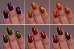 Harvest Collection -HOLO Nails Shop Collage Amy