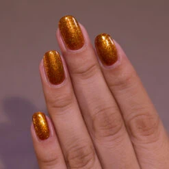 Hayride -HOLO Nails Shop Hayride M1