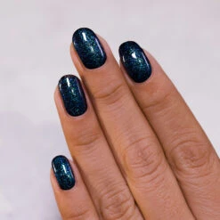 Raven -HOLO Nails Shop Raven