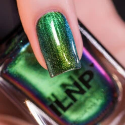 Reminisce -HOLO Nails Shop Reminisce Macro