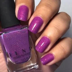 Paisley 13 Paisley -HOLO Nails Shop img 8267