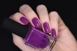 Paisley 9 Paisley -HOLO Nails Shop paisley ilnp