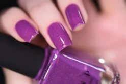 Paisley 12 Paisley -HOLO Nails Shop paisley macro