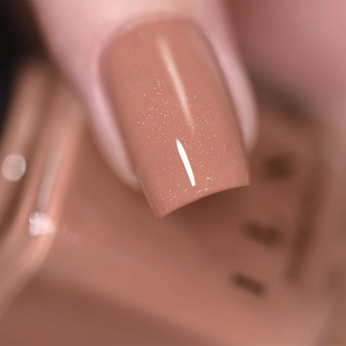 Portfolio 8 Portfolio - Image 6