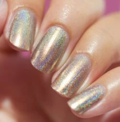 Iconic -HOLO Nails Shop u8a5351