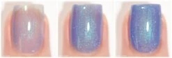 Wallflower -HOLO Nails Shop wallflower 123